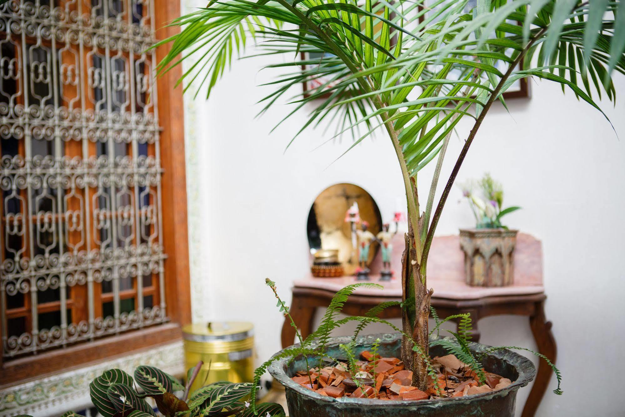 Riad Idrissy Fès Exteriér fotografie